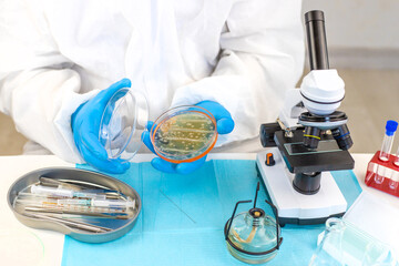 Examine bacteria in petri dishes in the laboratory. Selective focus.