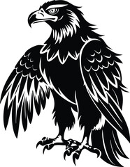 Fototapeta premium Set of Four Black Silhouettes of Hawk Birds with Detailed Feathers 