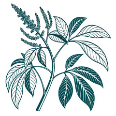 green leaves and  amaranth vector