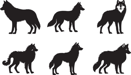Exploring the Diverse Characteristics and Habits of Wild Wolves in Natural Habitats Across the World