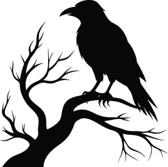 raven bird silhouette on a dead tree branch