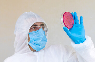 Examine bacteria in petri dishes in the laboratory. Selective focus.