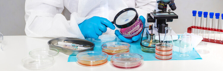 Examine bacteria in petri dishes in the laboratory. Selective focus.