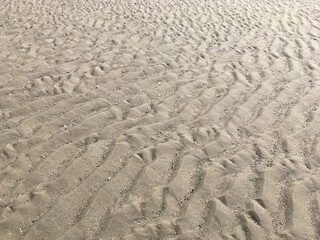 Sand ripples on a sandy beach - Ondulations de sable sur une plage de sable fin
