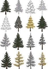 Obraz premium Evergreen Elegance: A Collection of Hand-Drawn Conifers AI Generated