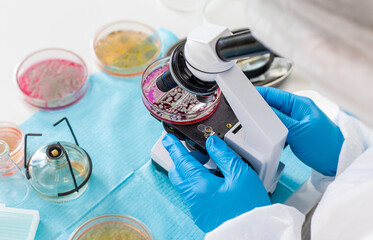 Examine bacteria in petri dishes in the laboratory. Selective focus.
