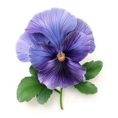 Obraz premium Vibrant, detailed illustration of a light purple pansy.