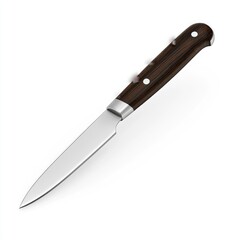 Sharp paring knife with a dark wooden handle.