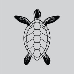 Fototapeta premium Turtle Illustration in Line Draw