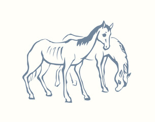 Starving skinny horse. Vector drawing