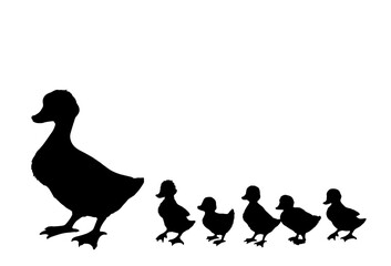 Mother duck with ducklings. Vector outline drawing