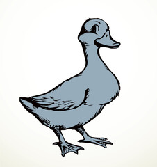 Cute duckling. Vector outline drawing