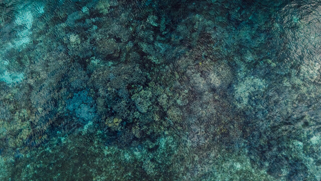 Tropical ocean surface with coral reef underwater. Top down top view