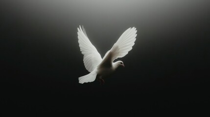 Obraz premium A white dove soars, wings spread, bathed in light against a shadowy backdrop. Serene