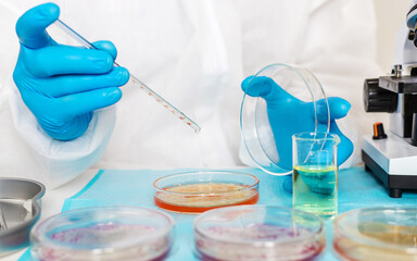 Examine bacteria in petri dishes in the laboratory. Selective focus.
