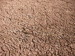 Dried reservoir bed of Domaša during drought, showing cracked soil and dry vegetation as a result of extreme weather and water shortage.