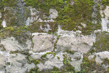 Close-up of a stone wall covered in green moss, creating a textured and natural background