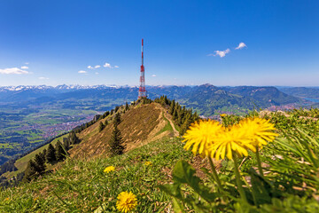 Grünten - Allgäu - Sender - Blumen - Panorama