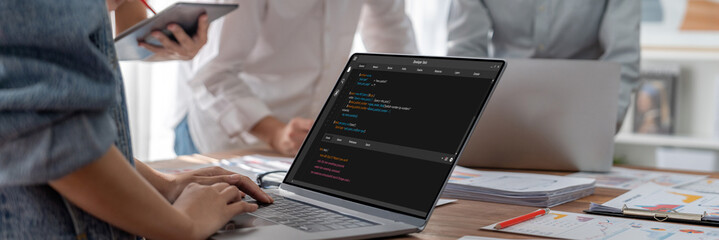 Software development programming on computer screen for brisk application and program coding