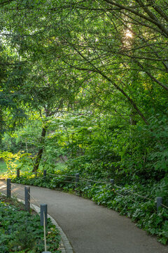 Le Parc des Bruy&egrave;res dans la ville de Bois Colombes &agrave; c&ocirc;t&eacute; de Paris