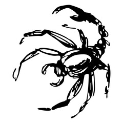 Scorpion insect. Animal design, Scorpio zodiac sign. Hand drawn doodle rough sketch. Black and white ink silhouette. Isolated vector illustration.