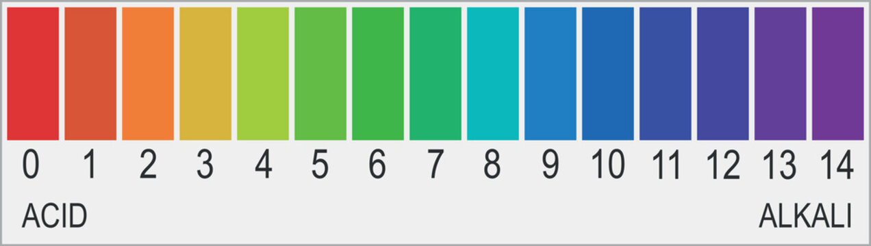 ph scale vector graphic . ph alkaline and acidic scale illustration
