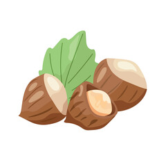 Hazelnuts. Flat vector, clipart illustration isolated on white background.