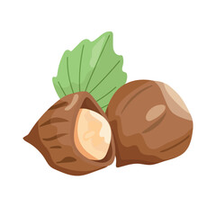 Hazelnuts. Flat vector, clipart illustration isolated on white background.
