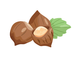 Hazelnuts. Flat vector, clipart illustration isolated on white background.