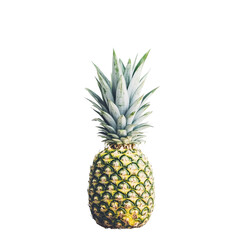Fresh, ripe, and juicy tropical pineapple fruit isolated on a transparent background