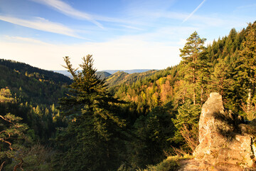 mountain landscape with blue sky black forest