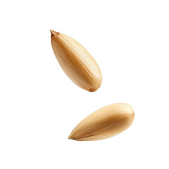Close Up Of Falling Pine Nut Capturing Its  isolated on a transparent background
