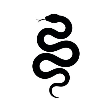 Black Silhouette of a Coiled Snake Isolated on White Background Simple Vector Graphic Illustration
