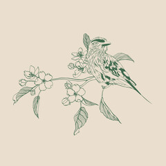 Lilac breasted Roller bird with apple branch with flowers, fruits and leaves. Design element. Line illustration.