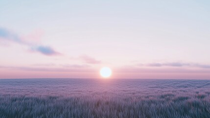 Sunrise over a field