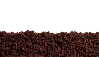 Humus, soil, bottom, border, pile, separated, isolated on a white transparent background. The image portrays a natural composition with earthy tones and distinct boundaries, emphasizing the texture an