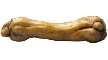 A detailed closeup of a natural textured root vegetable with earthy tones and intricate patte