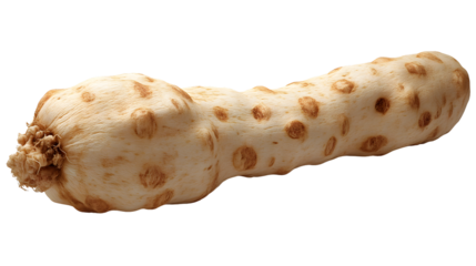 A root vegetable with a textured surface ideal for culinary and botanical themes