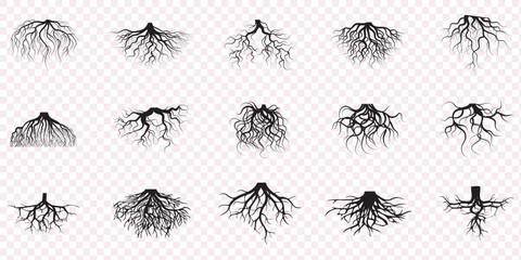 Tree roots silhouettes set. Wood growth, plant system, eco pattern, natural organic shapes. Bare underground forest branches. Botany elements. Flat vector illustration isolated on white background