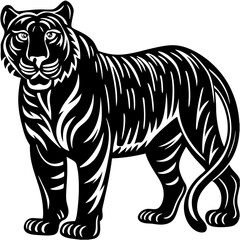 Fototapeta premium Realistic full-body image of a Black Tiger on a white background