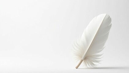 Obraz premium Crisp white feathers against stark white backdrop, pure, design
