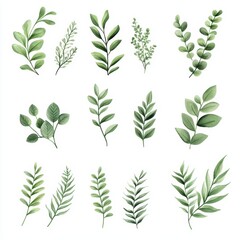 Fototapeta premium Various Green Leaves Illustrations for Nature and Botanical Design Projects and Backgrounds