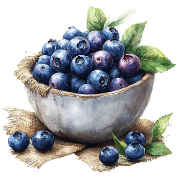 watercolor blueberries bowl, leaves, rustic setting clip art preview
