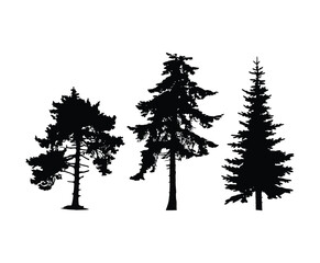Minimal Juniper Tree Silhouette Isolated EPS Template
