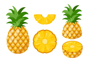 Set of fresh Pineapples tropical fruit icons. Whole pineapple, cut and pieces. Organic fruits for juice, smoothie or vitamin healthy food. Vector icons illustration isolated on white background.
