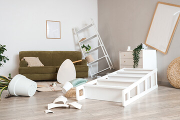 Interior of messy living room with sofa, shelf units and plants after earthquake