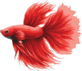 Cute vector watercolor illustration of a betta fish