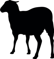 lamb silhouette Vector. 