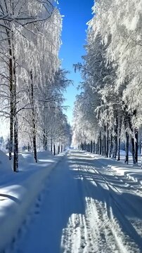 Snowy winter lane, trees, bright blue sky, serene landscape, possible use for winter holiday or travel advertising