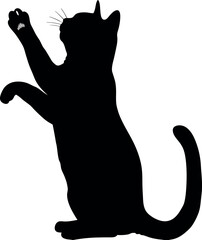 Cat silhouette Vector